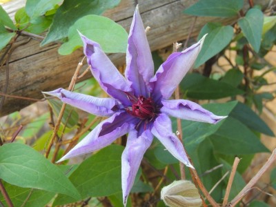 DSCN5602.JPG