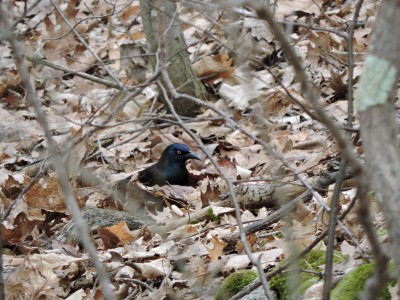 DSCN7158.JPG