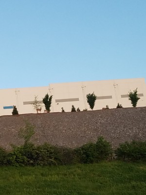 20190417_091233.jpg