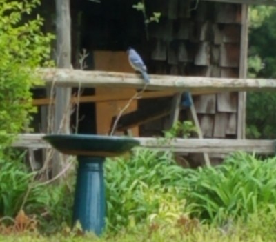 20190417_103259.jpg