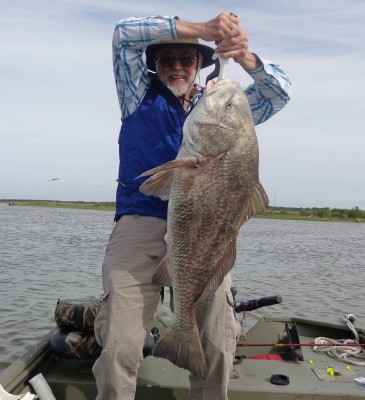 Black Drum
