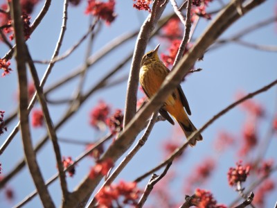 DSCN7220.JPG