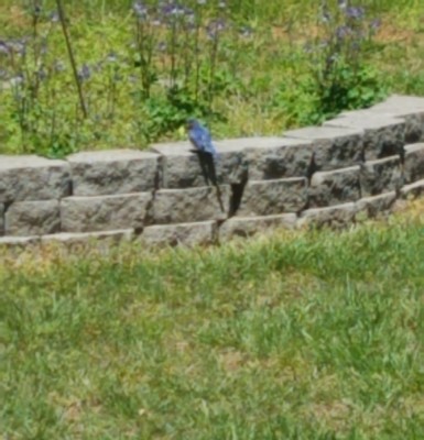 20190421_133030.jpg