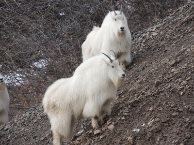 DSCN1288.JPG