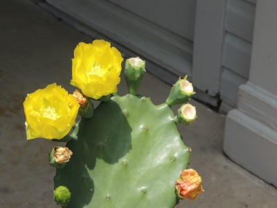 DSCN2249.JPG