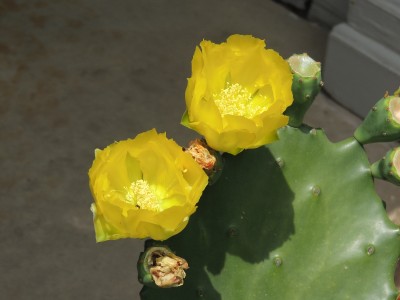 DSCN2252.JPG