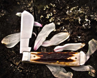 2012-tuna-cotton-amber-02-lo.jpg