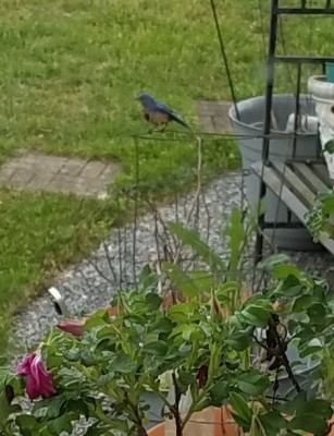 20190501_143141.jpg