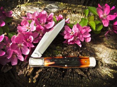 2013-tuna-valley-coke-bottle-amber-stag03-lo.jpg
