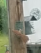 20190510_075001.jpg
