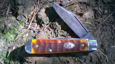 WP_20190510_123.jpg