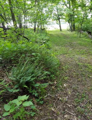20190513_180752.jpg