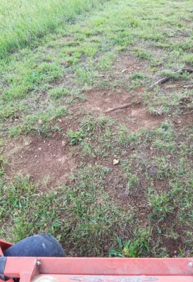 20190513_180855.jpg