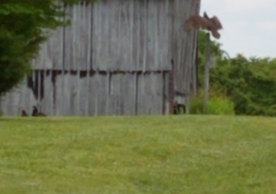 20190515_153759.jpg