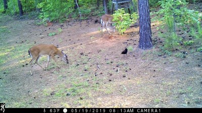 IMG_0158 (2).JPG