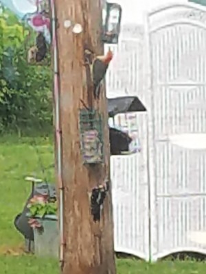 20190519_214532.jpg