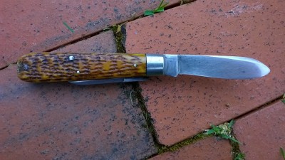 WP_20170517_068.jpg