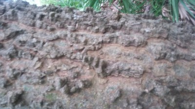 20190523_140435.jpg