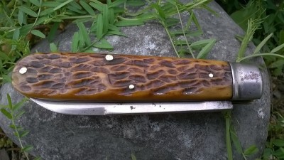 WP_20190528_054.jpg