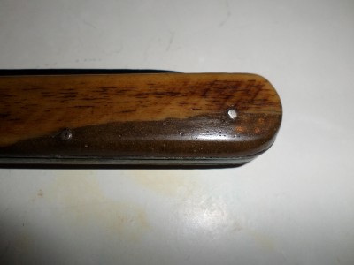 SAM_0773.JPG