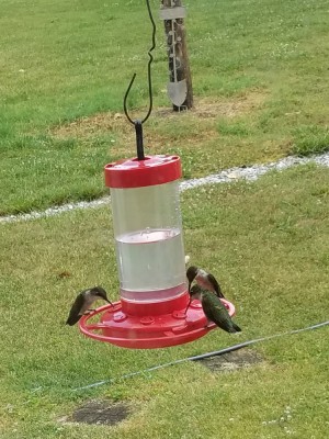 20190530_164945.jpg