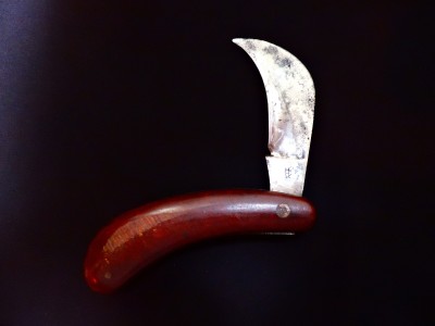 DSCN8282.JPG