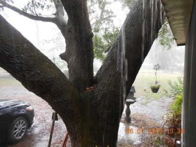 Wonderful, welcome rain shower this afternoon!