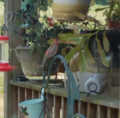 20190605_135211.jpg