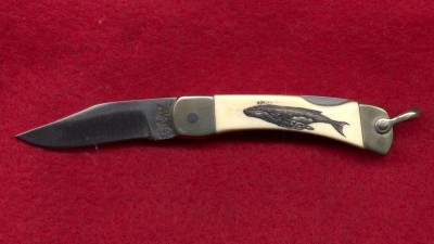 ivory LB1 01.jpg