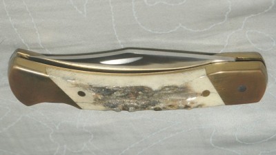 natural stag 01.jpg