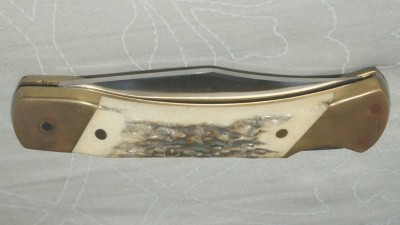 natural stag 02.jpg