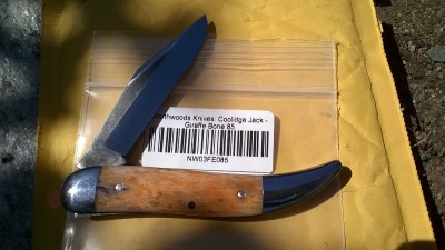 WP_20190610_030.jpg