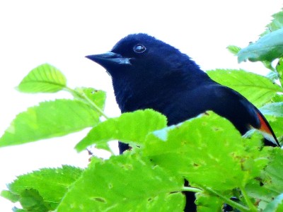 DSCN8338.JPG