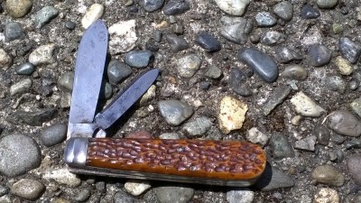 WP_20190613_134.jpg