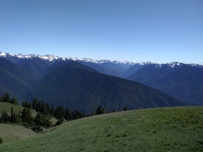 IMG_20190614_155146367.jpg