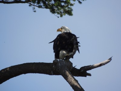 DSCN5883.JPG