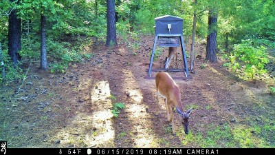 IMG_0143 (3).JPG