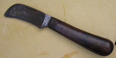 IMGP6930.JPG