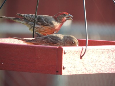 DSCN5964.JPG