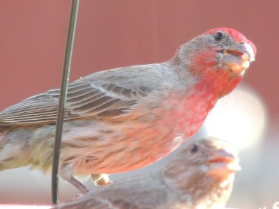 DSCN5968.JPG