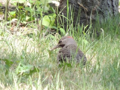 DSCN5933.JPG