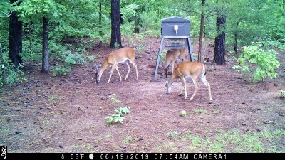 IMG_0092 (2).JPG
