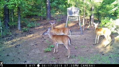 IMG_0007 (2).JPG