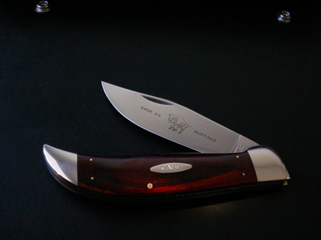 P172 Buffalo 1976.jpg