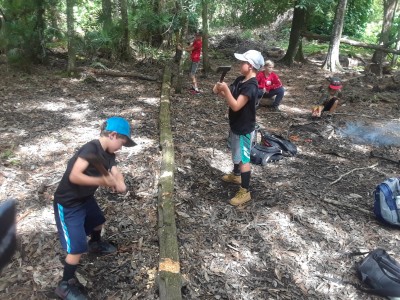 20190624_105746.jpg