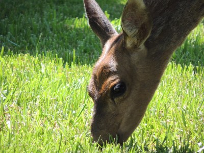 DSCN5902.JPG