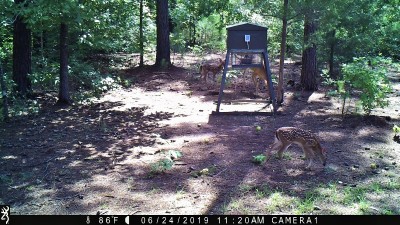 IMG_0023 (2).JPG