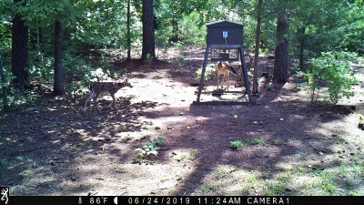 IMG_0025 (2).JPG
