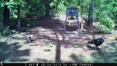 IMG_0032 (2).JPG