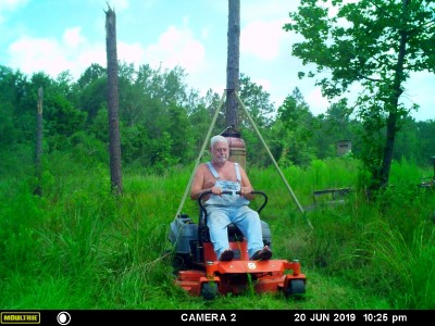 Mowing the mess.